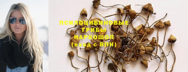 трава Киреевск