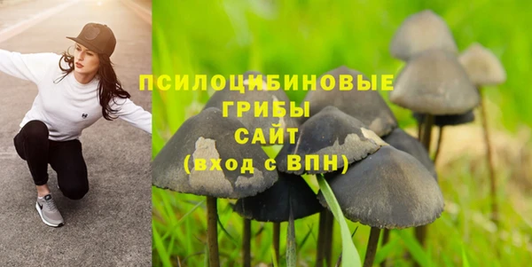 а пвп мука Кинешма